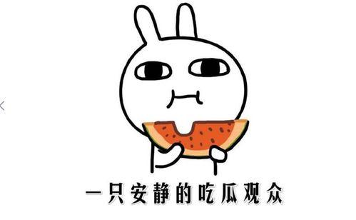 网上流行吃瓜是什么意思,吃瓜背后的文化现象与社交心理